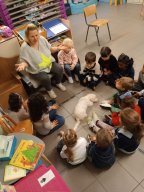 whatsapp image 2026-01-16 at 22.47.24 2